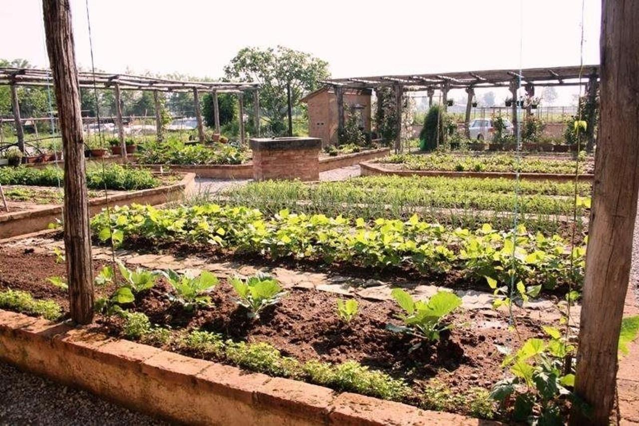 L'orto botanico adiacente al casale